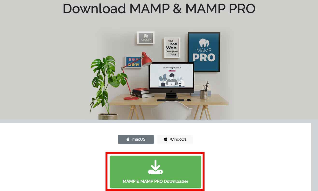 20241120_074524_mamp1.jpg