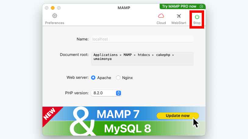 20241120_211737_mamp4.jpg